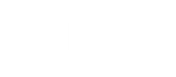 Stechwave Logo